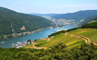 Rhine River Cruise