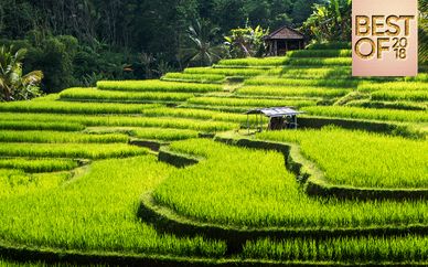 Jungle Retreat Ubud & The Sintesa Jimbaran 5*