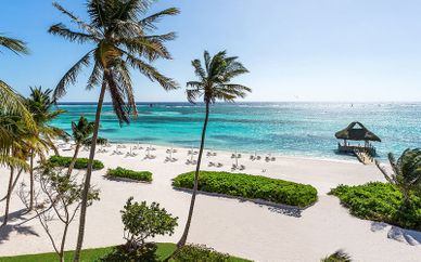 Westin Punta Cana Resort & Club 5*