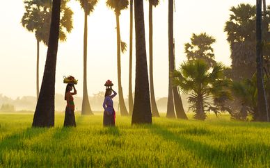 The Payogan Resort Villa Ubud & The Leaf Jimbaran 5*