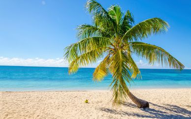 Turtle Beach by Elegant Hotels 4*