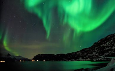 Arctic Experience