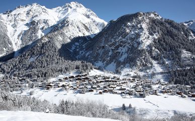 Le Telemark 4*