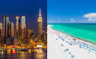 Doubletree Times Square West 4* & Plymouth Hotel Miami 4*