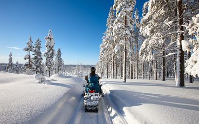 Northern Lights & Snowmobiling in Swedish Lapland