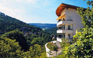 Schwarzwald Panorama 4*
