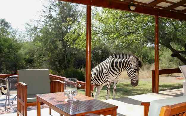 Reste 2 h 30 mAfrique du Sud / Près du Parc KrugerTuraco Lodge 4*9.6/10 - 160 avisÀ partir de 933 €Voir l'offre