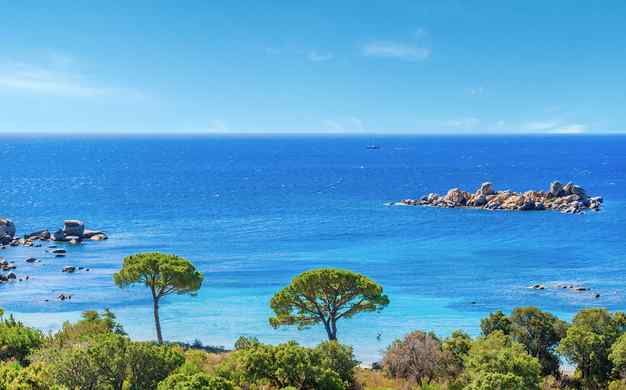 Reste 2 h 31 mCorse / Porto VecchioRésidence Agula Mora 4*9/10 - 17 avisExclusifVoir l'offre