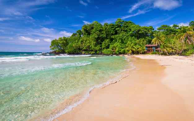 Reste 21 h 29 mPanama / Panama City, Boquete, Bocas del ToroCircuit en liberté : du Canal aux CaraïbesNouveautéÀ partir de 1 379 €Voir l'offre