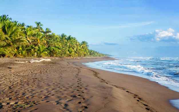 Reste 21 h 29 mCosta Rica / Tortuguero, Arenal, MonteverdeCircuit au Costa Rica avec séjour possible au Crown Plaza Panama City 4*NouveautéExclusifVoir l'offre