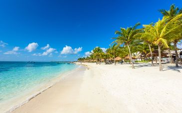 Adults Only: El Dorado Seaside Suites 5*