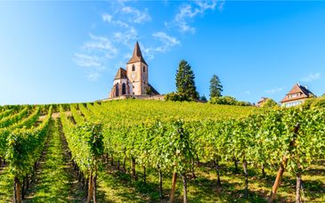 Best Western Plus Hotel & Spa Le Schoenenbourg 4* + Hotel Bellevigne 4*