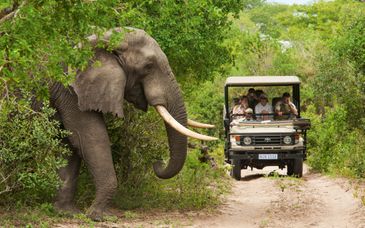 Autotour van 6 nachten + verblijf in White Pearl Resort 4*
