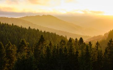 Hotel Liebesglück 4*