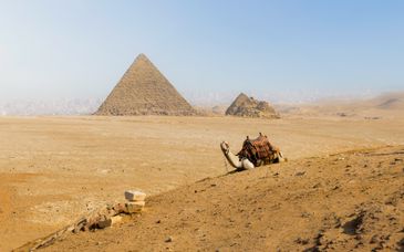 Groepsrondreis van 14 nachten door Egypte