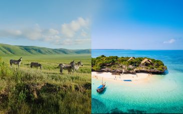 Private Safari in Tansania & White Paradise Zanzibar 4*