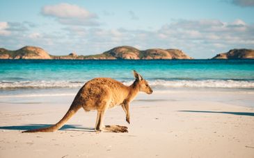 Rundreise durch Australien in Eigenregie und optional Kuala Lumpur