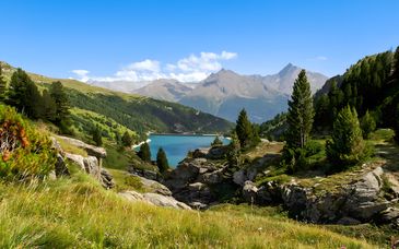 Hotel & Spa La Croix de Savoie 4*