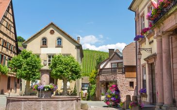 Best Western Plus Hotel & Spa - Le Schoenenbourg 4*