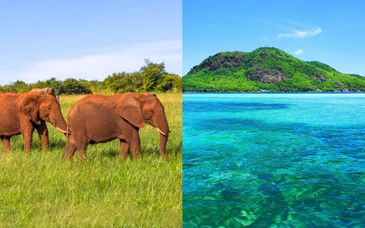 Gruppenreise: 4 - 6 Nächte Safari und Verlängerung im Constance Ephelia Seychelles 5*