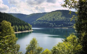 Waldhotel Berghof 4*