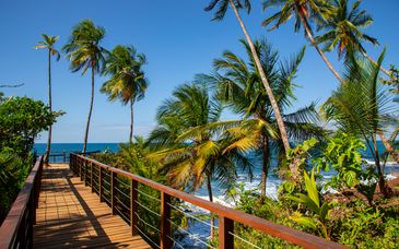 Autotour: Natur, Regenwald und karibische Ausflüge