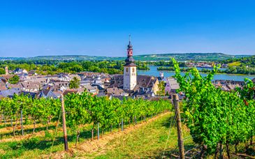 Rundreise in Eigenregie: Rheingauer Weinkultur und Schlossromantik