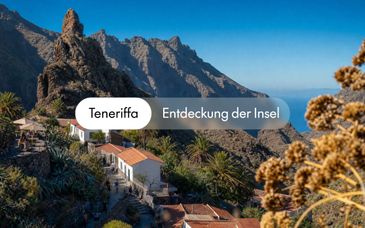 Fergus Puerto De La Cruz 4*