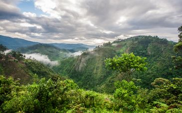 Private 9 Tage Rundreise Ruanda