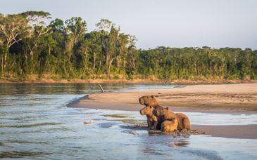 Private Rundreise: Kultur- und Gourmetreise in Peru mit Ausflügen