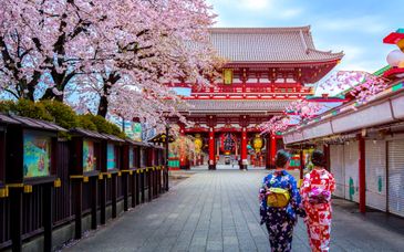 Private Rundreise Japan: Zwischen Stadt und Land