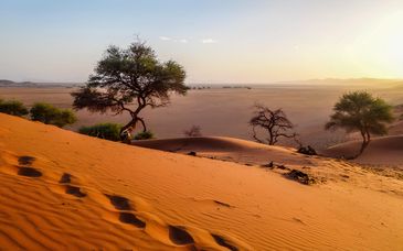 Autotour: Durch Namibia in 10 Nächten
