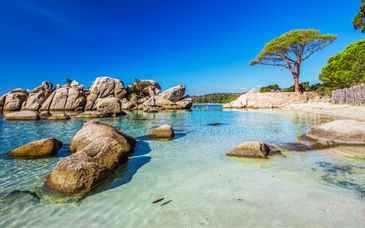 Cala Rossa Bay Resort 4* mit Flug oder Corsica Ferries