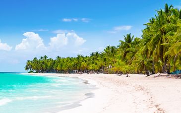 Coral Costa Caribe Beach Resort 4* mit Ausflugspaket