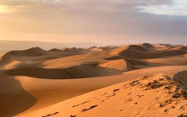 Wyndham Garden Muscat Al Khuwair 4* & optionale Verlängerung in der Wüste