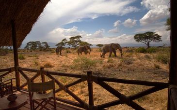 Safari in Tansania & Sea Cliff Resort & Spa 5*
