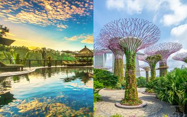 Nandini Jungle Resort and Spa 4* und mögliche Erweiterung in Singapur