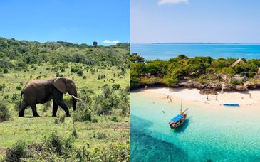 Combinado: Safari en Tanzania con extensión en el Sea Cliff Resort & Spa 5*