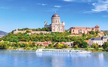 Crucero: Leyendas y festividades en el Romántico Rin