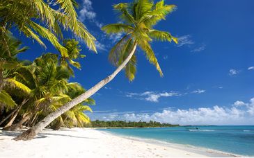 Checkin El Cortecito Beach