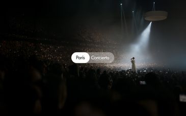 Concierto de Céline Dion y estancia en Trianon Rive Gauche 4*