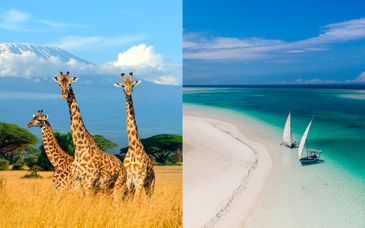 Safari privado de 4, 5 o 6 noches con extensión al White Paradise Zanzibar 4*