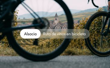 Ruta de los Vinos de Alsacia en bicicleta - Extensión opcional a Estrasburgo