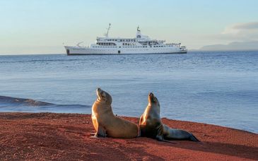 Circuito en libertad 6-14 noches: Visita Ecuador con Galápagos y posible extensión a Amazonía