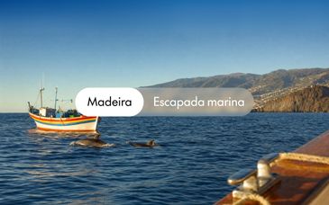 Baia Madeira Hotel 4*