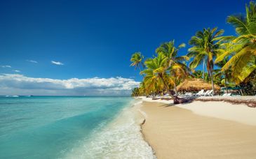 Road trip en Samaná de 7 a 16 noches - Extensión opcional a Santo Domingo Bay 4*