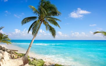 Devossion by Live Aqua Playa del Carmen 5*