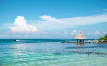 Hotel Estelar Parque de la 93 5* y Estelar Playa Manzanillo Hotel 5*