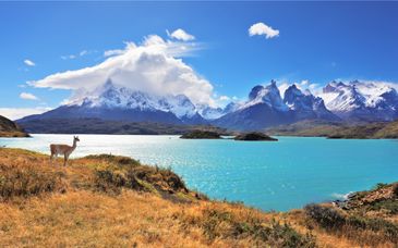 Circuito por libre de 9 a 13 noches: Diversidad de Chile 