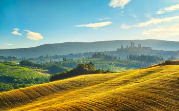 Circuito en libertad: Florencia, Chianti y el arte de vivir toscano de 3 a 9 noches